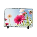 Süblimasyon Dikdörtgen Taş SH04 20x30